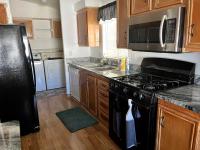 1996 Baron Manufactured Home