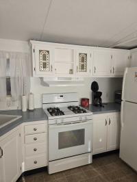 1992 Skyline Mobile Home