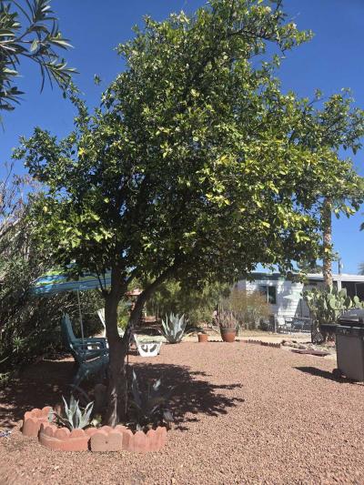 Photo 4 of 26 of home located at 4550 N Flowing Wells Rd Unit 238 Tucson, AZ 85705