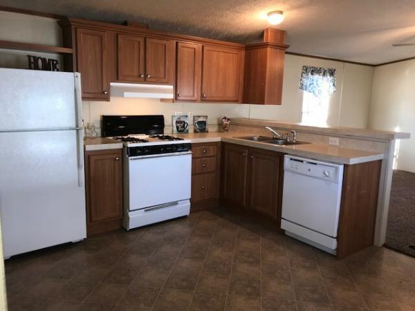 2004 Skyline Mobile Home