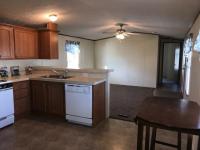 2004 Skyline Mobile Home