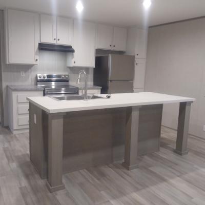 Mobile Home at 343 Beaver Dam Circle Lavonia, GA 30520