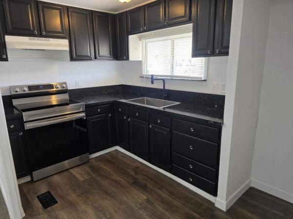 1970 Skyline Manufactured Home