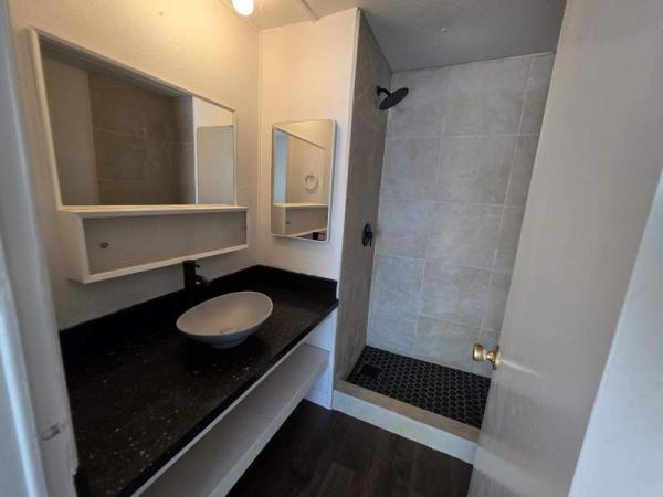 1970 Skyline Manufactured Home