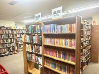 1972 RAMA Mobile Home