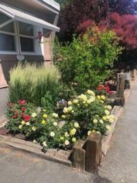 1971 TAMARACK Manufactured Home