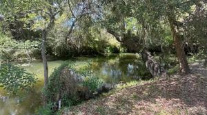 Alligator Creek