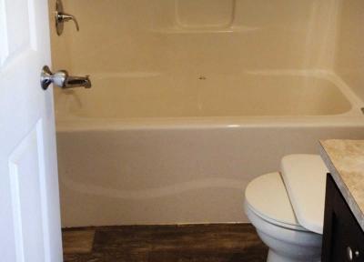 Photo 5 of 6 of home located at 16902 Dixie Highway, Lot 21 Hazel Crest, IL 60429