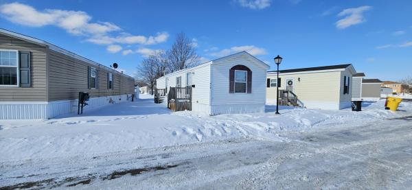 2002 Skyline Mobile Home For Sale