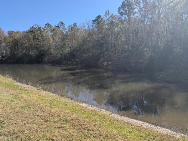 2001 Homes of Merit F3460XY1 Mobile Home