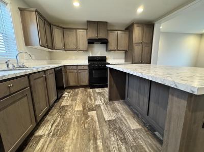 Photo 4 of 9 of home located at 106 Constitution Circle Potterville, MI 48876