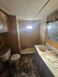 1963 American Mobile Home