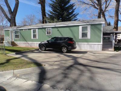 Mobile Home at 15 Shady Tree Lane Carson City, NV 89702