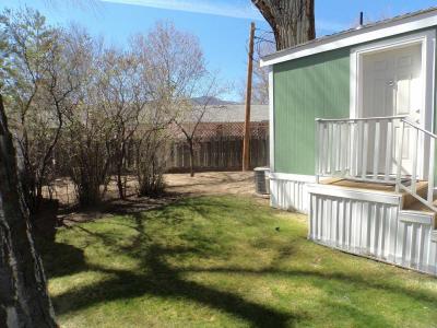 Photo 4 of 20 of home located at 15 Shady Tree Lane Carson City, NV 89702