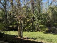 2002 Homes of Merit Mobile Home