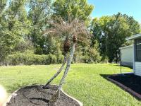 1996 PH Manufactured Home