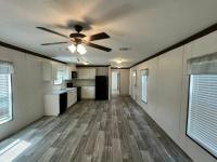 2024 LIVE OAK RUNNER SERIES  Home