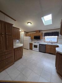 2002 Skyline Manufactured Home