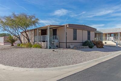 Mobile Home at 5805 W. Harmon Ave. Las Vegas, NV 89103