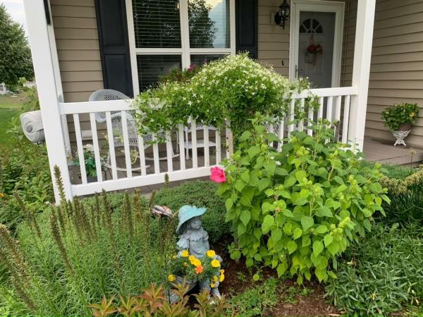 2008 Hitech Misty Morn Manufactured Home