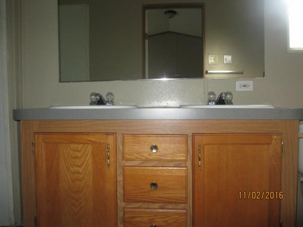 1999 Skyline Winner Mobile Home