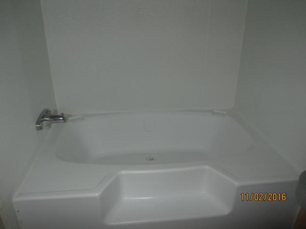 1999 Skyline Winner Mobile Home