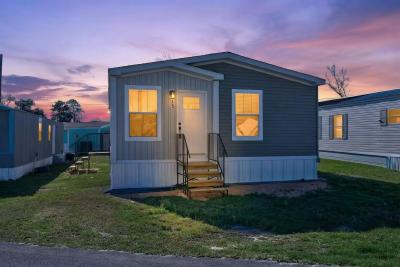 Mobile Home at 250 Nelle Avenue # 15 Panama City, FL 32404