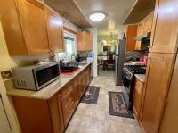 1975 Skyline Manufactured Home