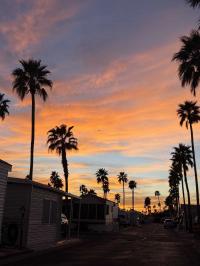 1984 Sundowner Elite Manufactured Home