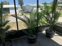 1984 Barrington HS Manufactured Home