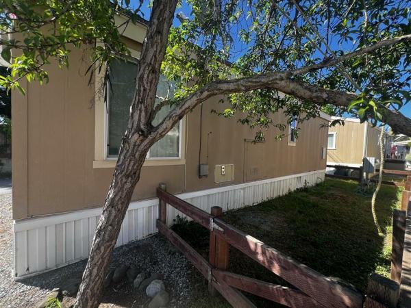 2008 pine  c/cchpt Mobile Home