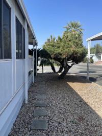 1969 Skyline Greenbriar Mobile Home