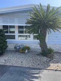 1969 Skyline Greenbriar Mobile Home