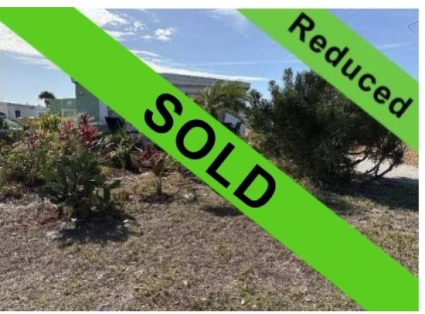 1979 TWIN Mobile Home For Sale