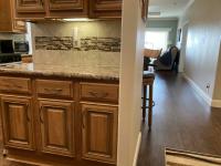 2018 Skyline Lincoln Park Manufactured Home