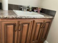 2018 Skyline Lincoln Park Manufactured Home