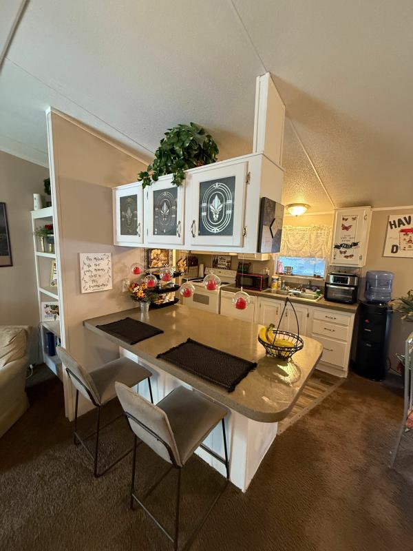 1999 Skyline Skyline Mobile Home