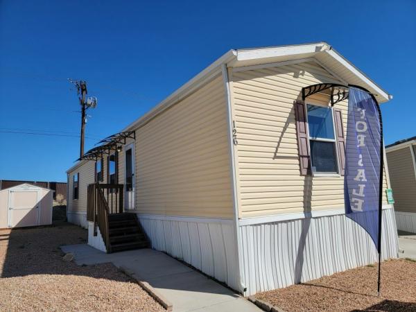 2019 Skyline Mobile Home For Sale