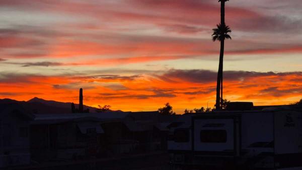 1981 NEW MOON Mobile Home