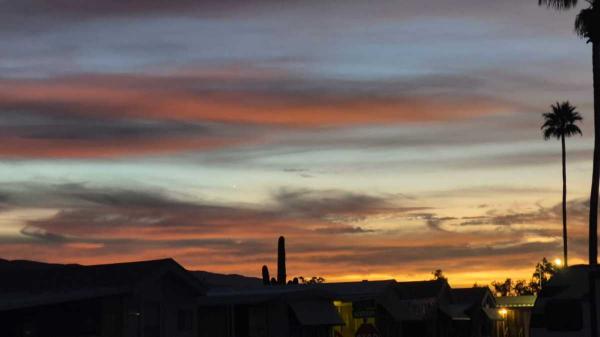 1981 NEW MOON Mobile Home