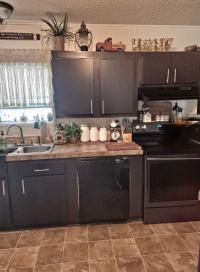 2007 ALE AGE PARK Mobile Home
