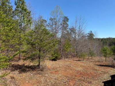 Photo 2 of 24 of home located at 304 Woodview Farm Trl Rutherfordton, NC 28139