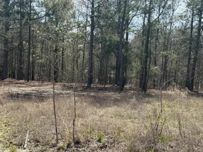 Photo 5 of 16 of home located at 20 Hammond Dr Trenton, SC 29847
