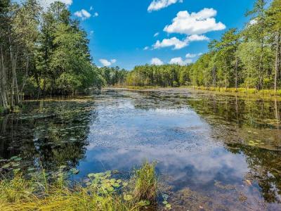 Photo 5 of 6 of home located at 160 Mockingbird Way Whiting, NJ 08759