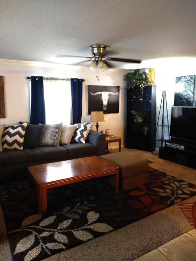 Photo 3 of 8 of home located at 303 Taho Circle Valrico, FL 33594