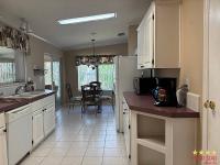 1999 PALM   Home