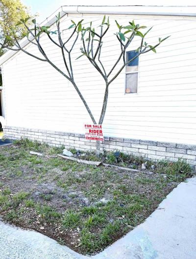 Mobile Home at 14099 Belcher Rd. S Largo, FL 33771