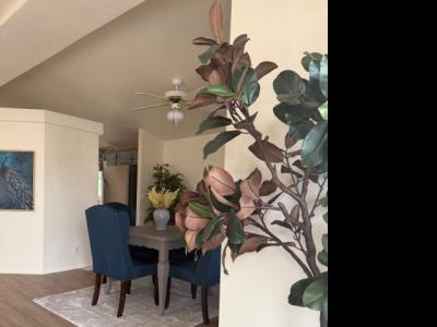 Photo 5 of 43 of home located at Horseshoe Trail / Buffalo Circle Albuquerque, NM 87123