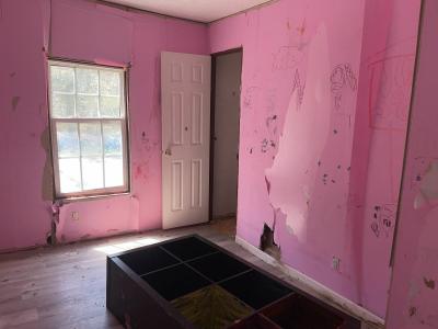 Photo 5 of 8 of home located at 395 Cemetery Rd Saint Mary, MO 63673