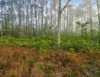 Photo 3 of 21 of home located at 27125 Lakeview Dr Holden, LA 70744